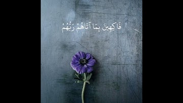 تلاوة خاشعة تريح القلب والاعصاب بصوت القارئ رعد الكردي | إِنَّ الْمُتَّقِينَ فِي جَنَّاتٍ وَنَعِيمٍ