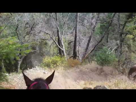 Tevis 2017, Descending Devil's Canyon