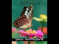 “तुम्हारी दुआ… अल्लाह के लिए मुश्किल नहीं” #deenkibaat #allahkirahmat #allahparbharosa #deen #hadith