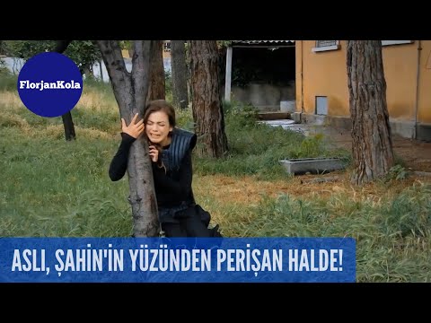 Şefkat Tepe | Aslı, Şahin'in Yüzünden Perişan Halde! | 111.Bölüm
