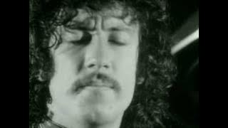 peter green's fleetwood mac - need your love so bad