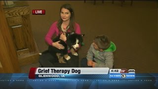 Meet Haze, the funeral home grief therapy dog