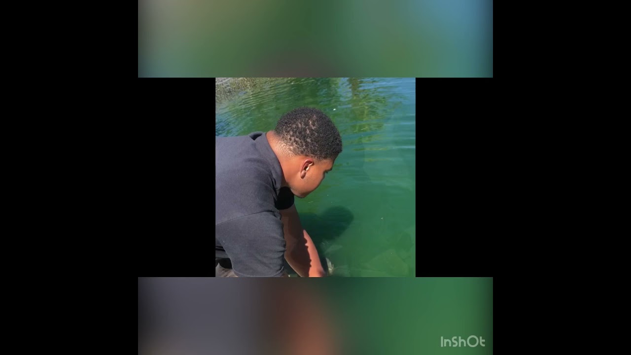 Fishing for carp and catfish in Las Vegas, NV YouTube