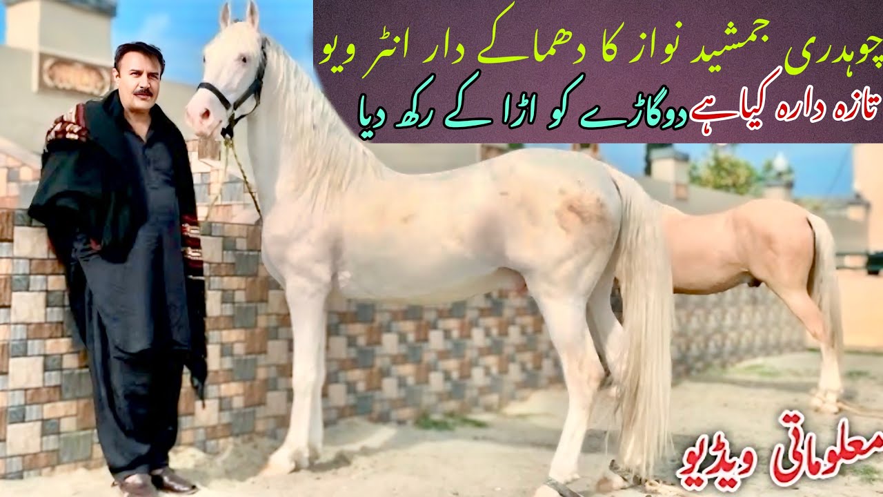 Ch Jamshed Nawaz’s Beautiful Passion | What is Dogada? | چوہدری جمشید نواز کا شوق