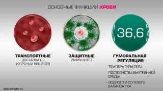 Анализ крови(, 2015-03-07T10:09:32.000Z)