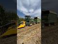 JOHN DEERE 5820 Chopping Corn #bigtractorpower #johndeere #cornharvest