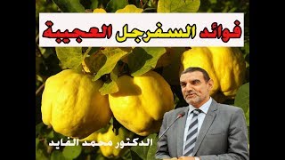 فوائد السفرجل الرائعة على الجسم وهل سلقه وتعسيله يعتبر طريقة صحية د محمد الفايد  