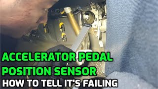 Symptoms of a Bad Accelerator Pedal Position Sensor (Learn how it works and why it fails)