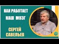 Сергей Савельев | Как работает наш мозг. Двойственность Сознания