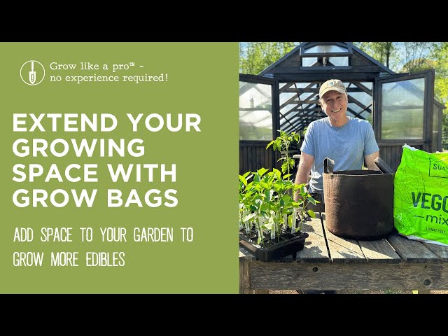 Grow Bag Gardening – Epic Gardening