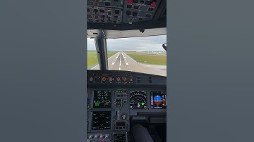 Airbus A320 Smooth Cockpit Landing | Perfect Approach View