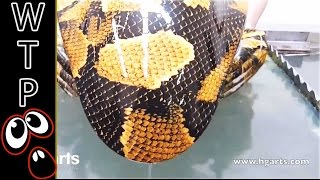 Water Transfer Printing - Hydrographics | Extremely Satisfying! MUST WATCH