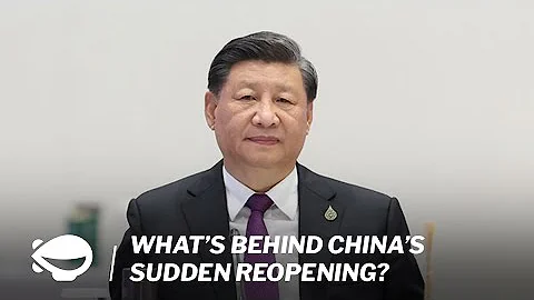 What’s behind China’s sudden reopening? | MS Explains - DayDayNews