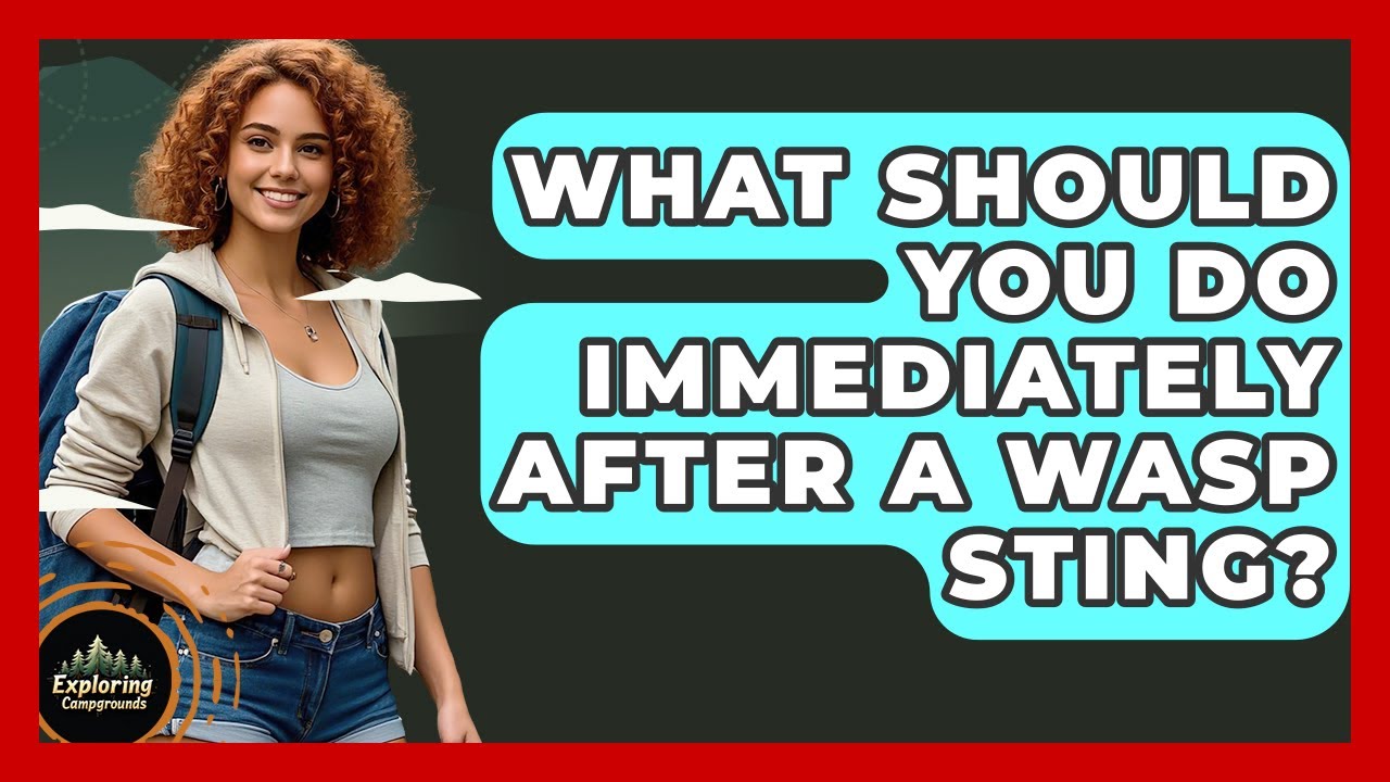 What Should You Do Immediately After A Wasp Sting? - Exploring Campgrounds