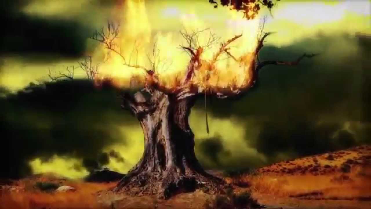 Brea Kicking Tree (Director's Cut) YouTube