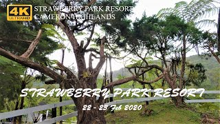 Cameron Highlands | Strawberry Park Resort | Room Virtual Tour