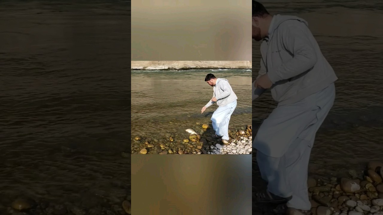 Fresh water🌊 Monster🐟 Fish Catching😱 