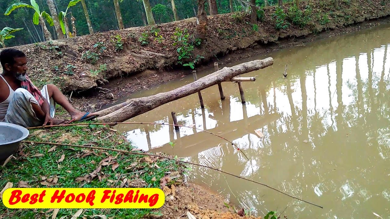 Village Pond Best Hook Fishing VideoBest Methods Pond Fish Catching