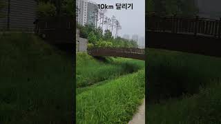 비가 오는 날엔 #shorts #rain #비 #행복 #동탄호수공원