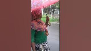 Video Lucu Bencong hamil..hehehe