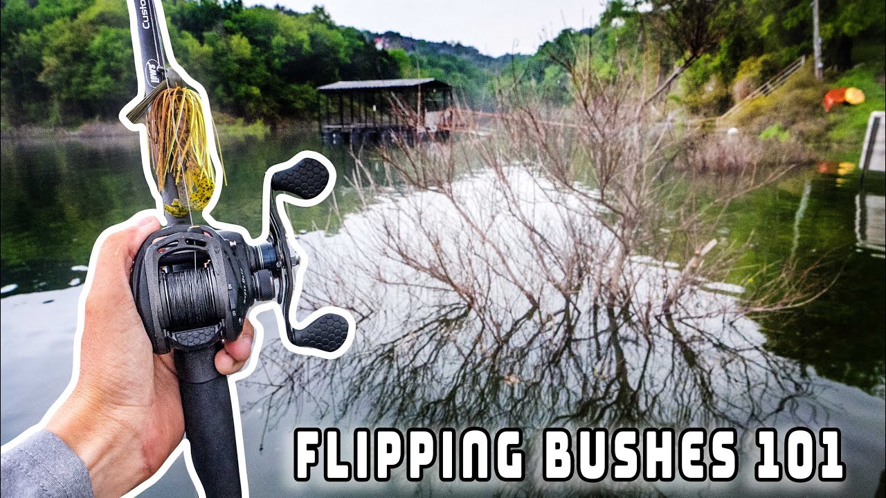 How To Fish FLOODED Bushes For Bass (Flipping Bushes 101) 