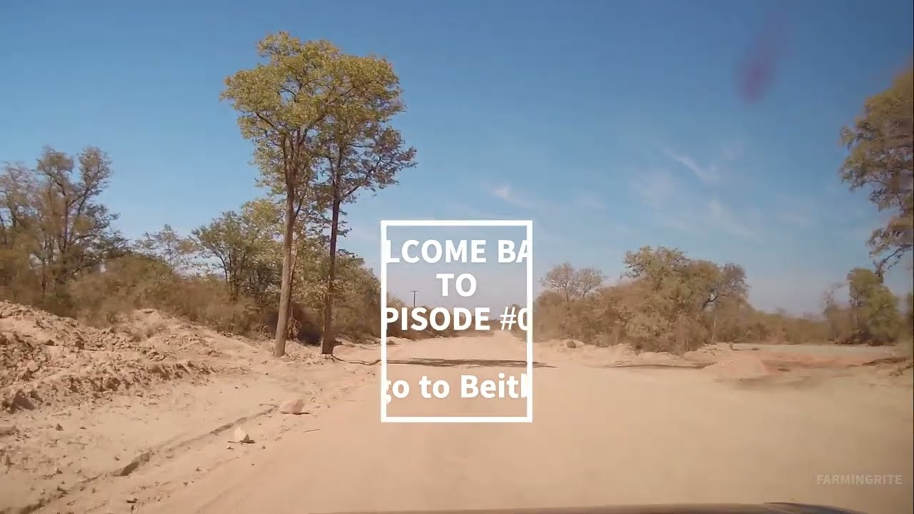Driving From Masvingo to Beitbridge During the Day - Ep#03 