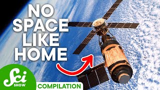 What Makes a Home...A Home? | SciShow Compilation