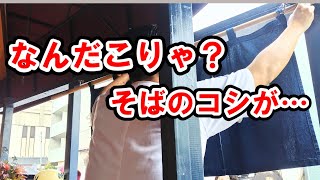 [Tennomachi] Wow! This cold soba is amazing! ~Takiyama