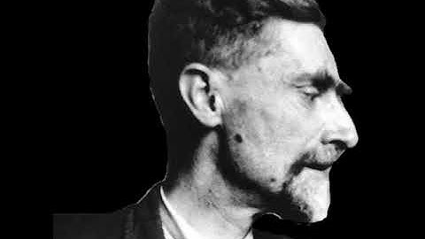 Enter the Mind of M C  Escher