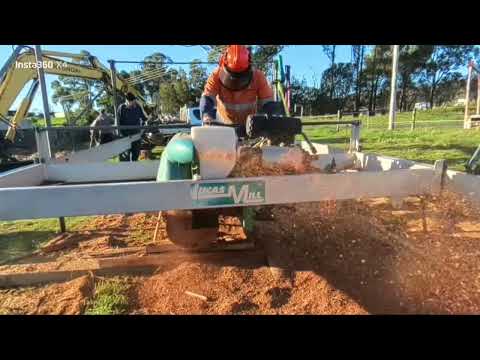 Lucas Mill log recovery for garden beds