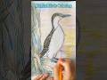 Simple Relaxing Ocean Bird Coloring