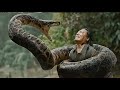 3 صيادين عالقين في أخطر غابة ويواجهون أناكوندا عملاقة ملخص فيلم  2024