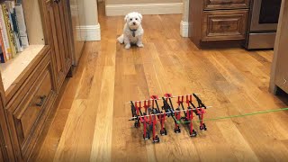 Passive Walking Test of Strider Linkage v7