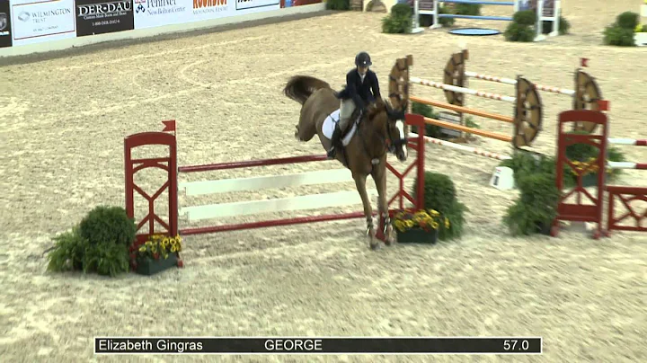 41 GEORGE Elizabeth Gingras, Class 201 Open Jumper...