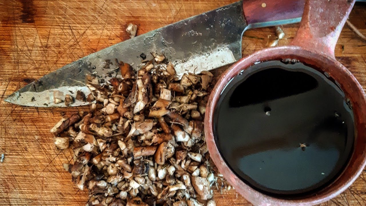Making Dandelion Root Coffee A Bushcraft Coffee Substitute YouTube