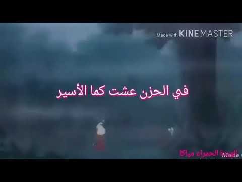 انيوشا امل تألق ورتقى