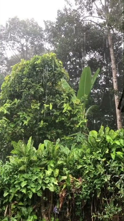 Merenung Saat Hujan