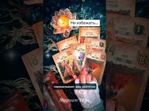 ШОК❗️Лучше сядь А