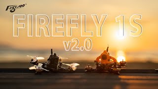 ☀ Крошечные дроны для больших дядь [Flywoo Firefly v2.0]