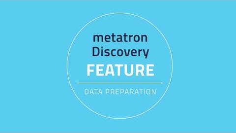 metatron discovery feature - [Data Preparation]