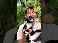 FOOD ASMR🍃🐟🍊 #shorts #reverse #mukbang #funny #fruit #food #cat