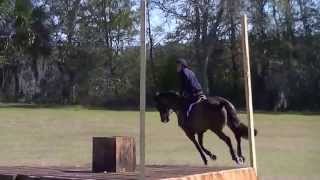 USEF Developing Riders group 2 XC day