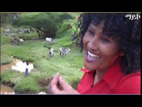 Eritrean Music ሓንሳእ ስምዓና By M Sisters Official Video 2017 