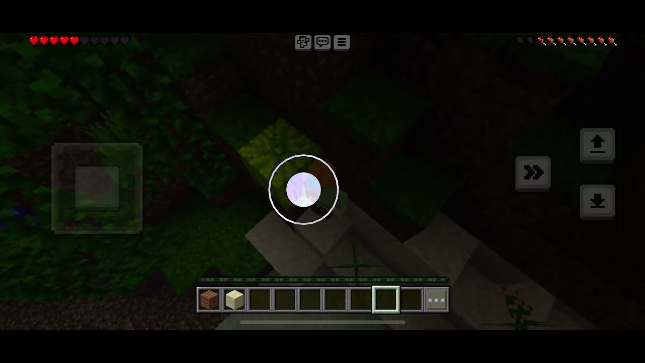 マイクラの撮れ高のない動画です！