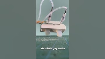 This Cute Robot Walks on Squishy Legs!