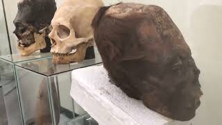 Veronica Jayne: The Paracas Skulls / Cranial Deformation
