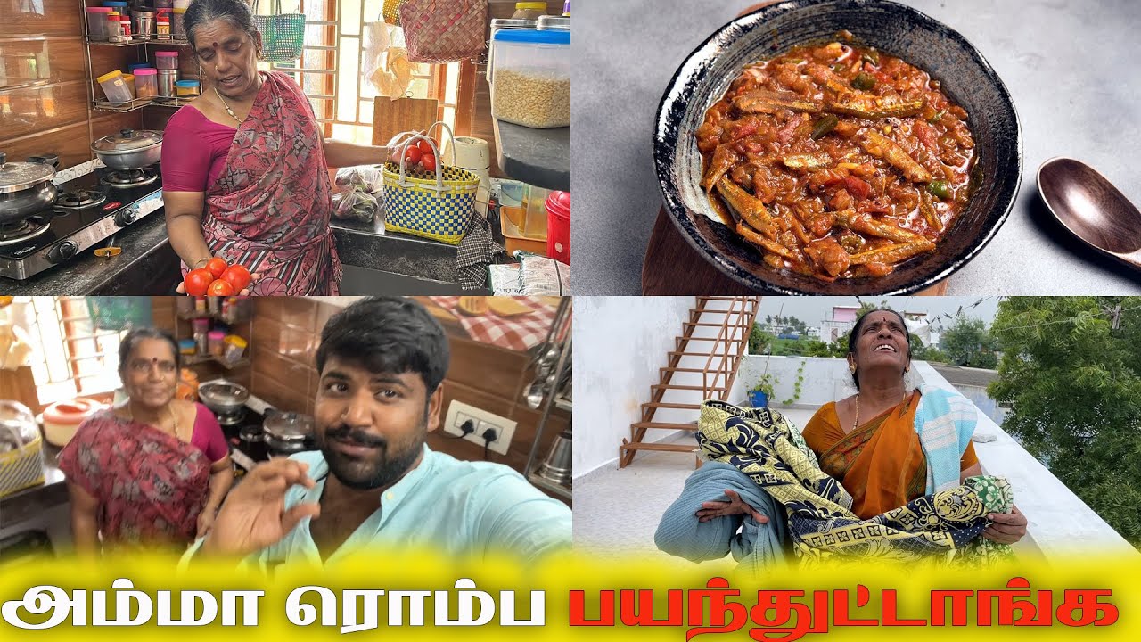 பயப்படவே பயப்படாதே அம்மாவையே பயன்படுத்தி விட்டாங்க @Amma Kai Pakkuvam