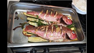 How To Make and Prepare a Red Silk Snapper (fish)