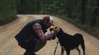 Video voorbeeld van ""Chasing Butterflies" (Song for my dog )- Jordon Frank"