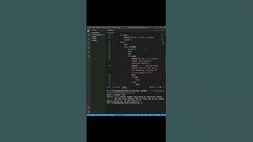 What is a Lychrel Number? (Python Code for identifying a Lychrel Number) - Do Not Miss!!! #Shorts